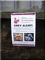 NY9393 : Grey alert in Elsdon! by Stanley Howe