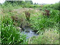 Pyl Brook Meander in Hamilton Avenue Recreation Ground