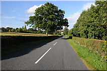 SO8870 : Clattercut Lane, near Rushock by Philip Halling
