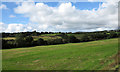 Field near to Llannerch