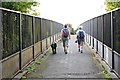 Footbridge on the South Downs Way