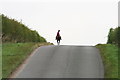 Looking back down the road to Hemingby