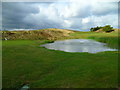 Pond with fountain on Stockley Park Golf Course