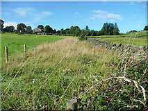 SE0026 : Fenced strip at the side of a field by Humphrey Bolton