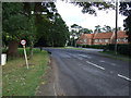 Main Street, Doddington