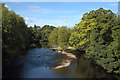 River Wharfe from the Old Bridge