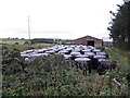 Silage bales, Teebane