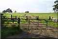 Farm track opposite Silton Grange