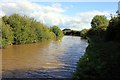 SJ5060 : The Shropshire Union Canal at Newton-by-Tattenhall by Jeff Buck