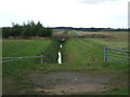 Another drain, Snarford Bridge 