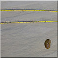 SV8808 : Yellow rope, pebble and dendritic sand patterns by David Lally
