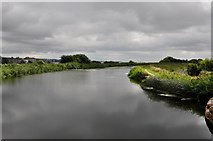 SX9687 : Exeter District : The Exeter Canal by Lewis Clarke