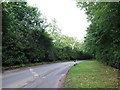 Chartway Street, near Sutton Valence