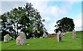 NU0401 : Rothbury Stone Circle by michael