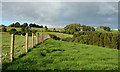 SH8634 : Fence line descending towards Afon Llafar by Trevor Littlewood