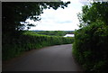 Bourne Lane near Spring Hill Farm