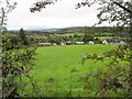 Curraghmacall Townland