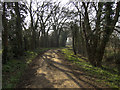 Icknield Way south east of Moulton