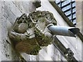 SU8504 : Gargoyle (Replacement) - Chichester Cathedral  by Rob Farrow