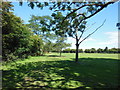 Oak Road playing fields, Hull