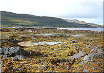NM5170 : Rocky Foreshore at Port Bàn by Anne Burgess