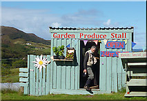 NM4566 : Garden Produce Stall by Anne Burgess