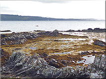 NM4862 : Cone Sheets on the Foreshore by Anne Burgess