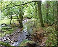 Hoaroak Water above Combe Park House