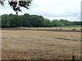 Stubble field south of Fro-fawr Farm