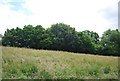 Meadow south of Burwash