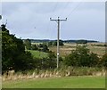 Electricity poles striding north