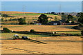 Harvest Time at Middleburn