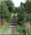 Steps up to a path to Surgery Road, Blaina