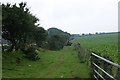 Field boundary work near Trehale Farm