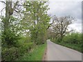 Minor road near Strathallan Airfield