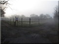 Misty morning in Forest Hall