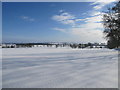 NZ0385 : Snow covered fields near Cambo in Northumberland by Andrew Tryon