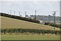 Mid Devon : Grassy Field