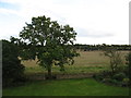 View south from Downthorns Farm