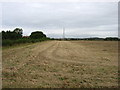 Farmland at Down Farm