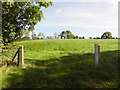 An open field, Mulnagoagh