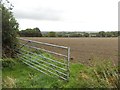 View towards High Green from Bank Lane