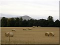 NO2808 : Round bales, Easter Lathrisk by Richard Webb