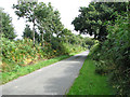 This way to Barningham Green