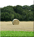 Two straw bales by the Belt