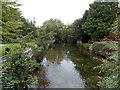 Mill Stream, Salisbury