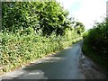 Glascoed Lane, looking east