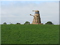 SJ6254 : Dalek by the A51 by M J Richardson