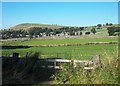 Across the fields to Chelmorton