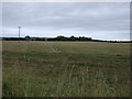 NT5179 : Farmland towards Muirton by JThomas